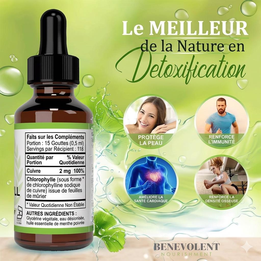 🍀 Fini les mauvaises odeurs ! Boisson détox pour énergie & haleine fraîche en quelques minutes