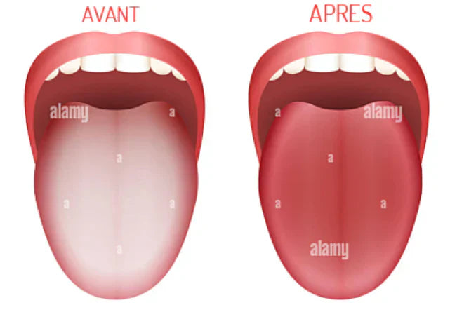 👅 Votre Bouche Cache des Bactéries Dangereuses… Éliminez-les IMMÉDIATEMENT !